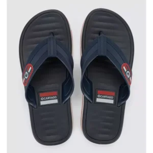 Chinelo Masculino Paris Cinza Azul Cartago